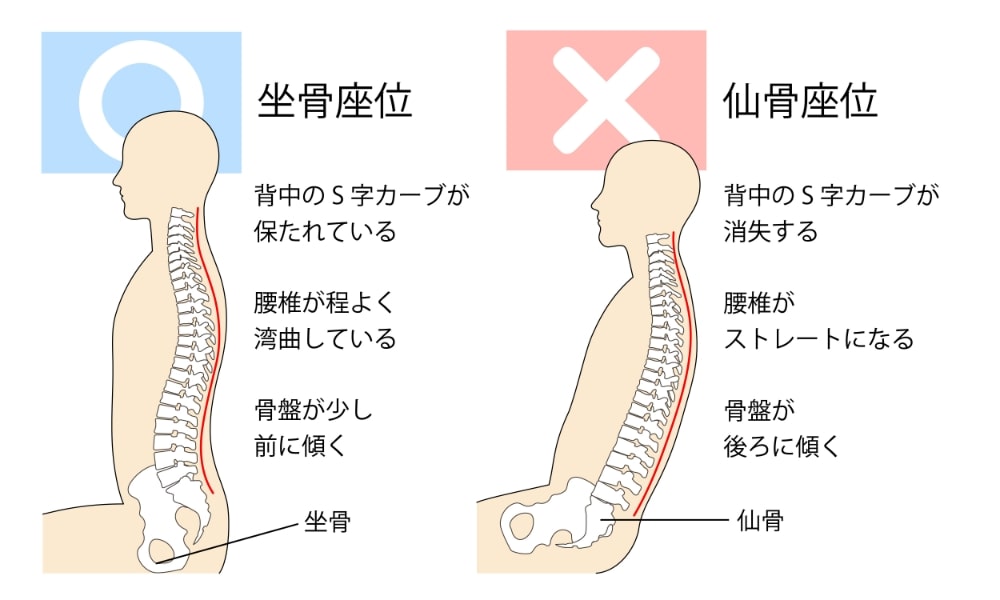腰痛予防の正しい座り方